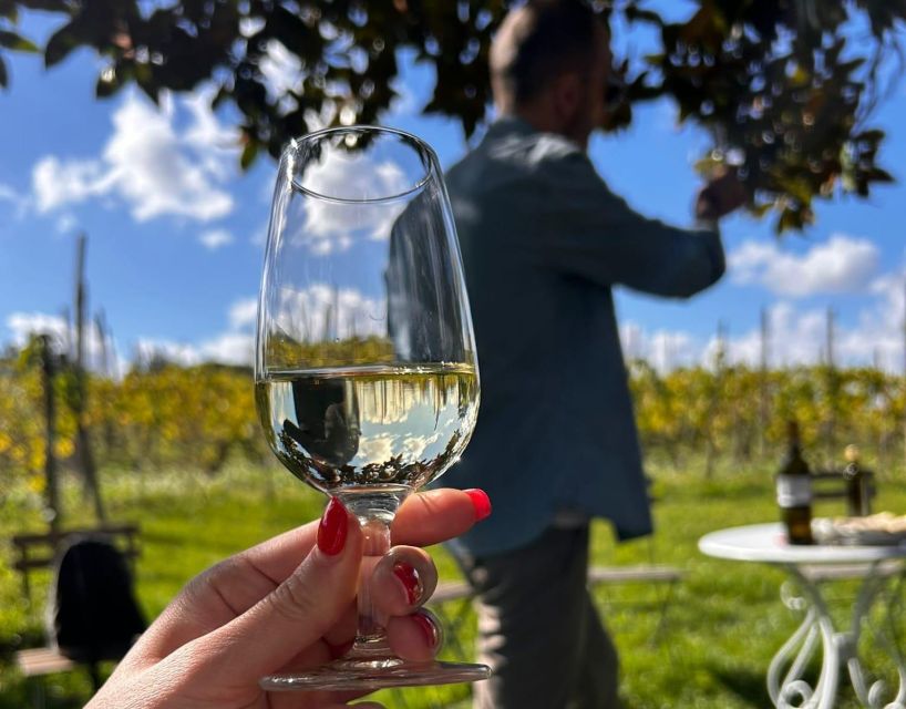 From Rome: Half-Day Frascati Wine Tour with Farmhouse Lunch - Price and value: what €99 buys beyond the wine label