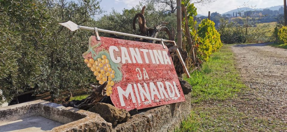 From Rome: Half-Day Frascati Wine Tour with Farmhouse Lunch - Who should book this (and who should skip it)