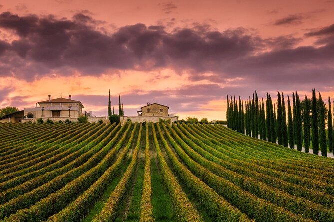 from Rome Montepulciano and Montalcino, the Wine Routes - From Piazza del Popolo to Tuscan hills: the morning plan