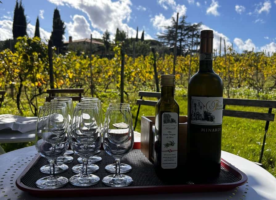 From Rome: Pasta Masterclass & Wine Tour in the Vineyard - Vineyard Tour and the Old Cellar: Where the Past Looks Like a Working Place