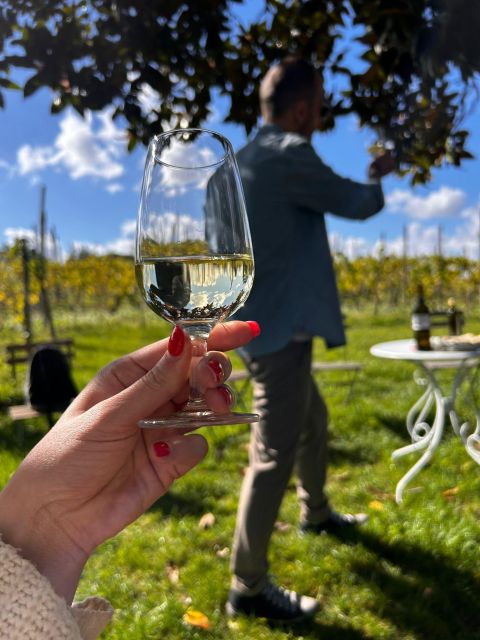 From Rome: Pasta Masterclass & Wine Tour in the Vineyard - Live Music Ending: The Fun Part You Don’t Want to Miss