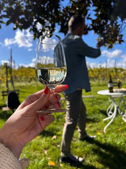 From Rome: Pasta Masterclass & Wine Tour in the Vineyard - Who Should Book This Frascati Pasta and Wine Day