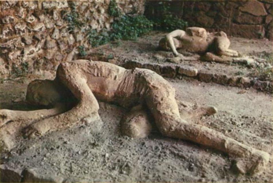 From Rome: Pompeii All-Inclusive Tour with Live Guide - Skip-the-Line Entrance and the Real Value of $145