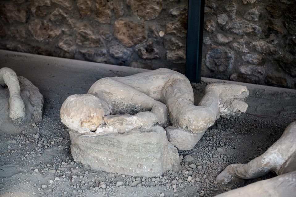 From Rome: Pompeii and Herculaneum by High-Speed Train - Pacing, transport, and group setup: what 8.5 hours really means