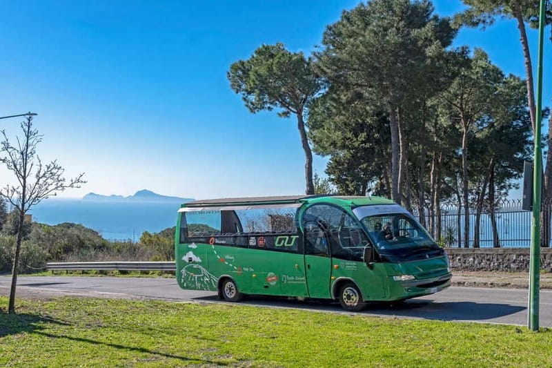From Rome: Pompeii and Vesuvio Guided Day Trip with Lunch - Pompeii Excavations: What the Guided Time Covers (and What It Might Not)