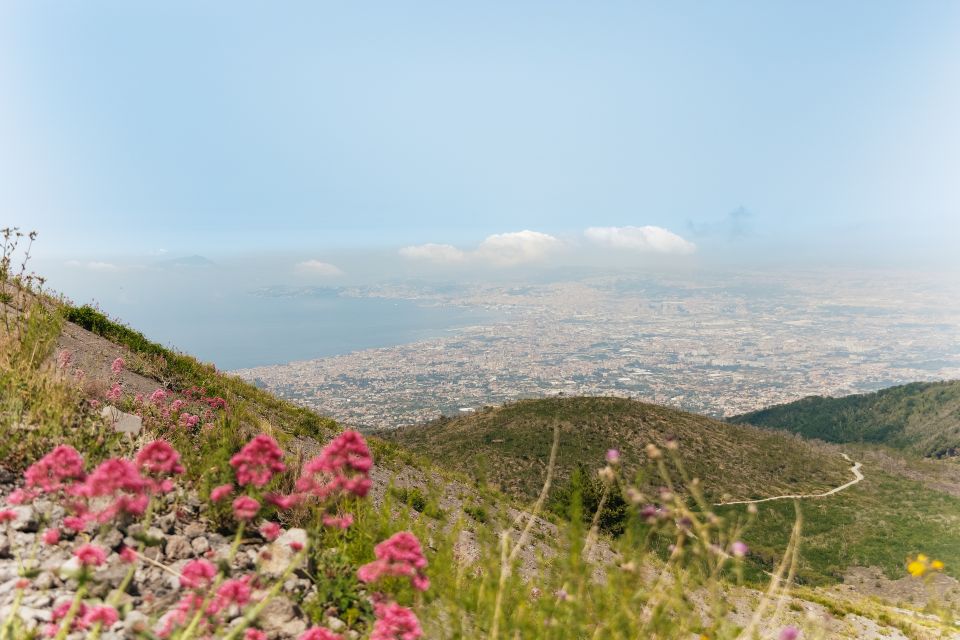 From Rome: Pompeii Day Trip with Optional Vesuvius and Lunch - What you should look for at Pompeii (so it doesn’t become random)