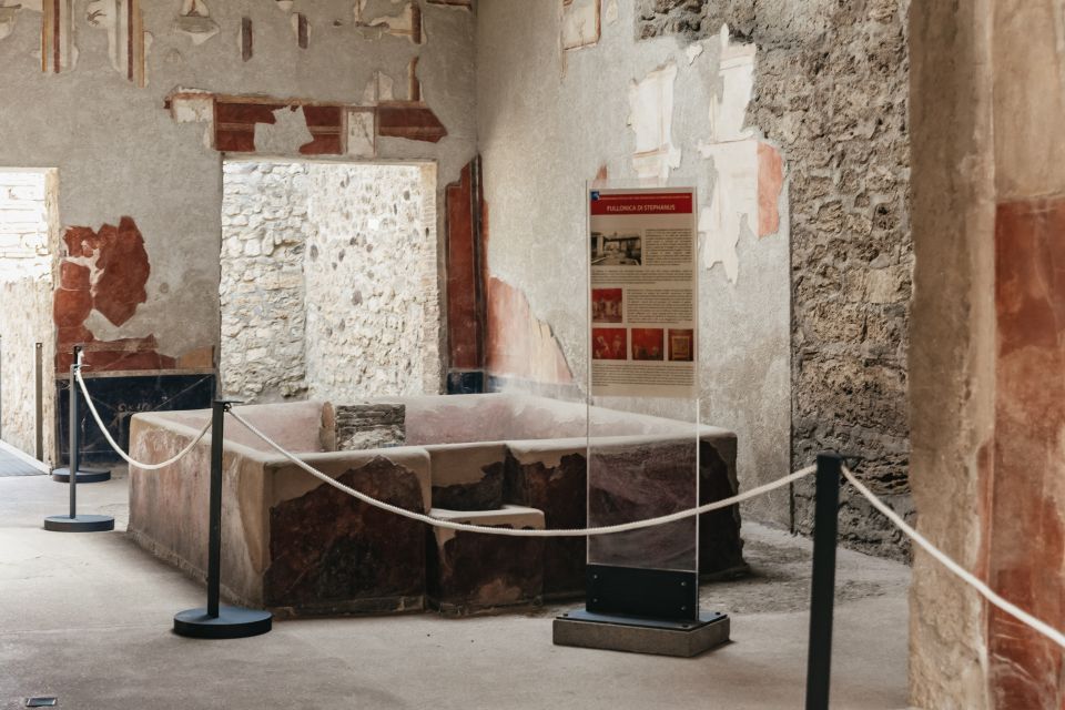 From Rome: Pompeii Day Trip with Optional Vesuvius and Lunch - The guide and driver team: why the day runs smoothly