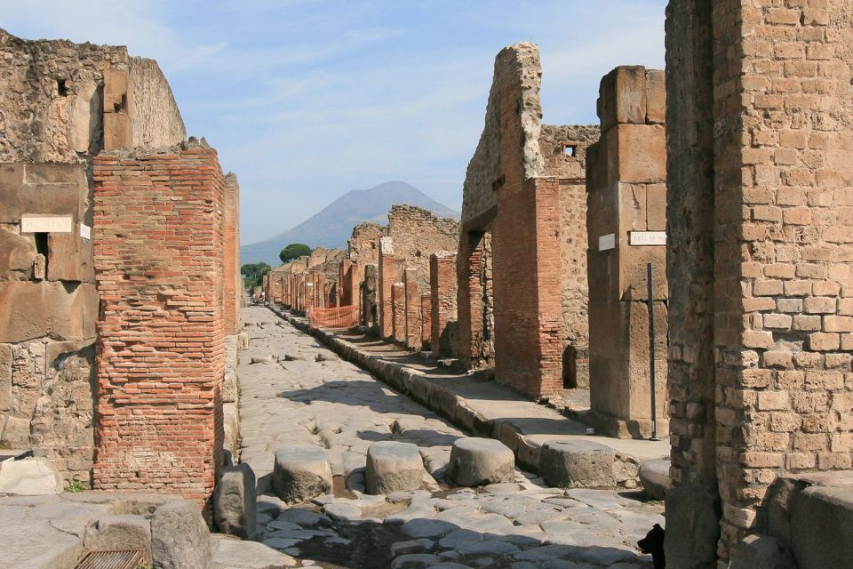 From Rome: Pompeii & Naples Small-Group Day Tour with Lunch - Pompeii with a real 2-hour guide: what you’ll actually focus on