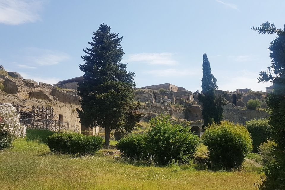 From Rome: Pompeii & Naples Small-Group Day Tour with Lunch - Price and value: what you’re paying for at $303.60