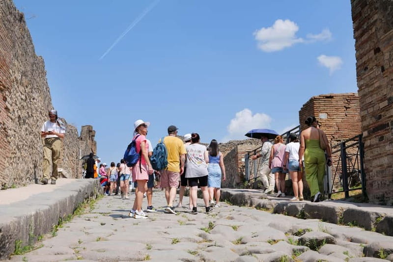 From Rome: Pompeii Ruins Tour with Expert Guide & Fast Train - Key things I’d zero in on