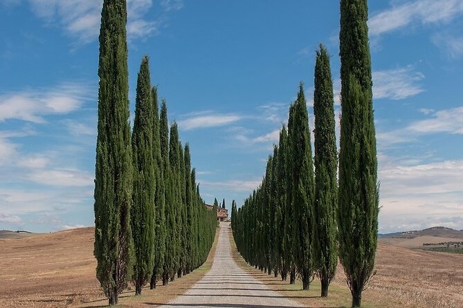 From Rome: Private Day-Tour of Tuscany - Two Towns in One Day: What This Rome-to-Tuscany Trip Actually Delivers
