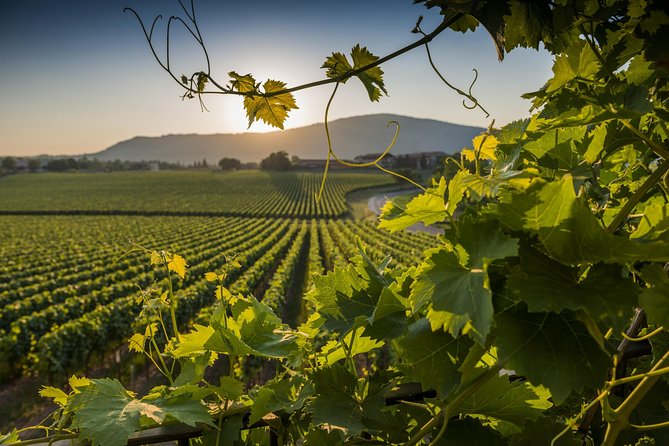 From Rome: Private Day-Tour of Tuscany - The 8:00 AM Start and the Comfortable Ride Out of Rome