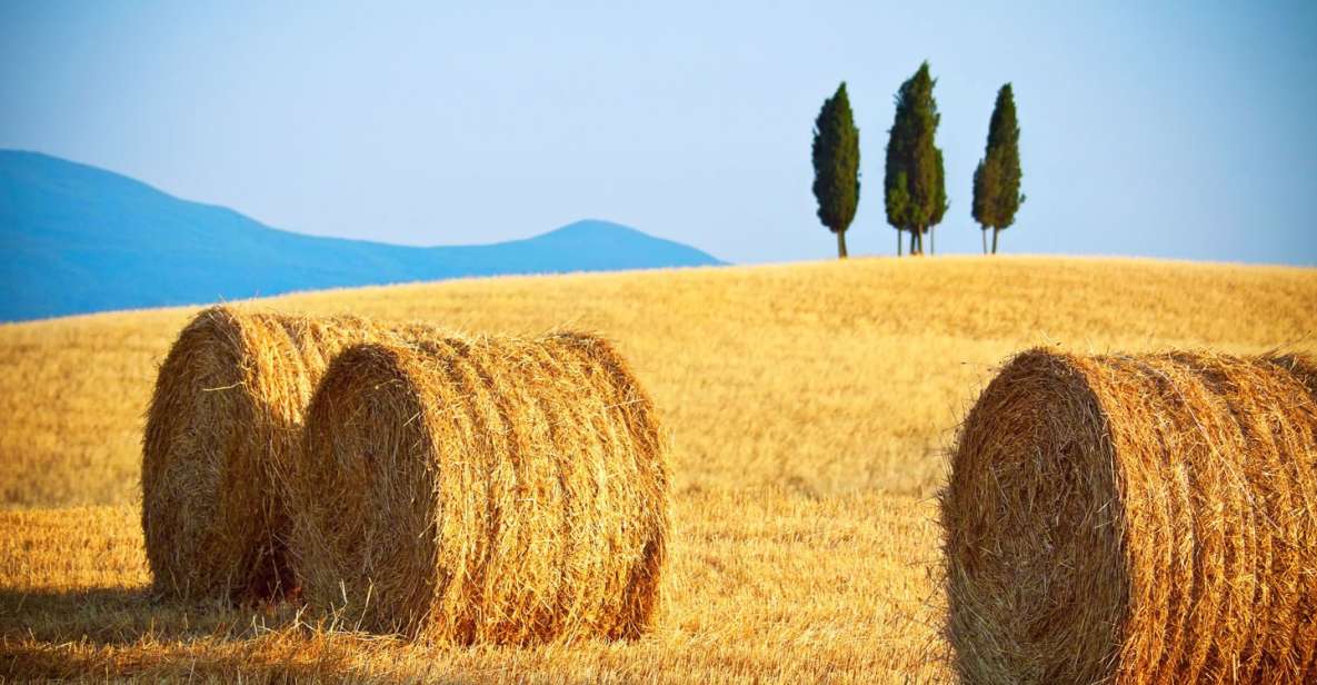 From Rome: Private Tuscany Day Trip - Key Highlights You’ll Actually Feel