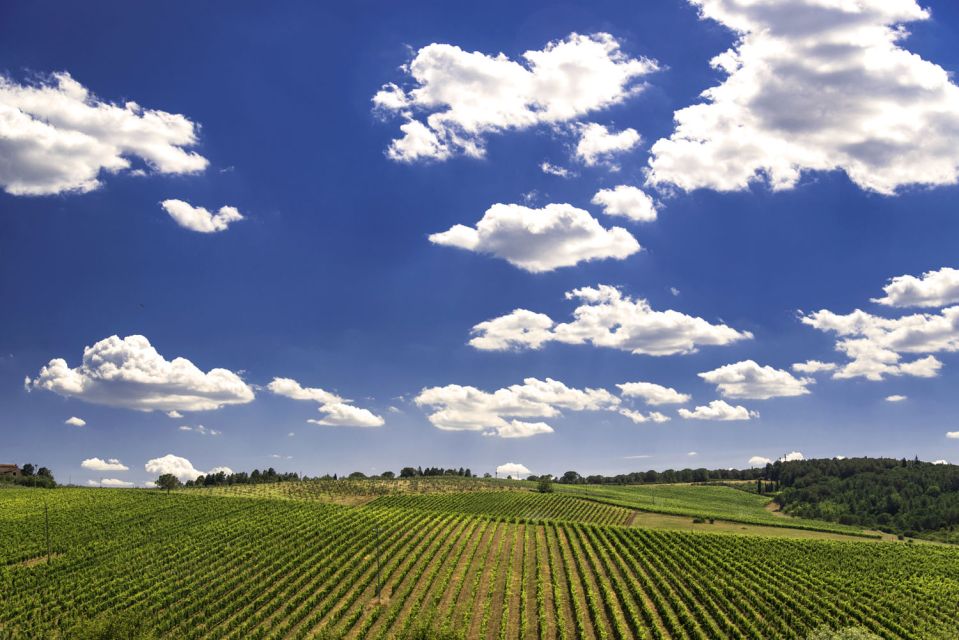 From Rome: Private Tuscany Day Trip - Pienza: Renaissance Design You Can Actually Walk Through