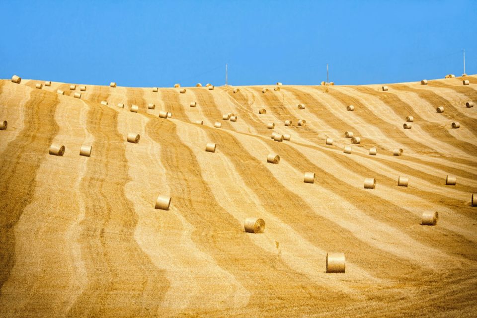 From Rome: Private Tuscany Day Trip - Montalcino: Brunello Capital and a Castle Fortress Feeling