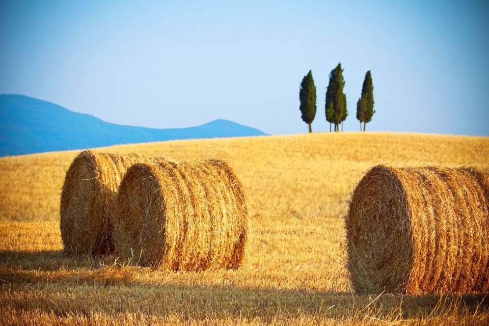 From Rome: Private Tuscany Day Trip - Mercedes Comfort and Driver Quality: The Real Luxury