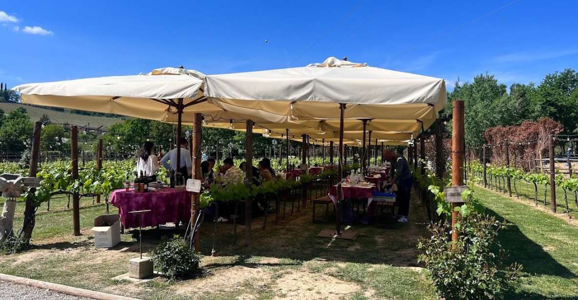 From Rome: Siena and S. Gimignano, Tuscany Wine One Day Tour - A 10-hour Rome-to-Tuscany plan that actually works