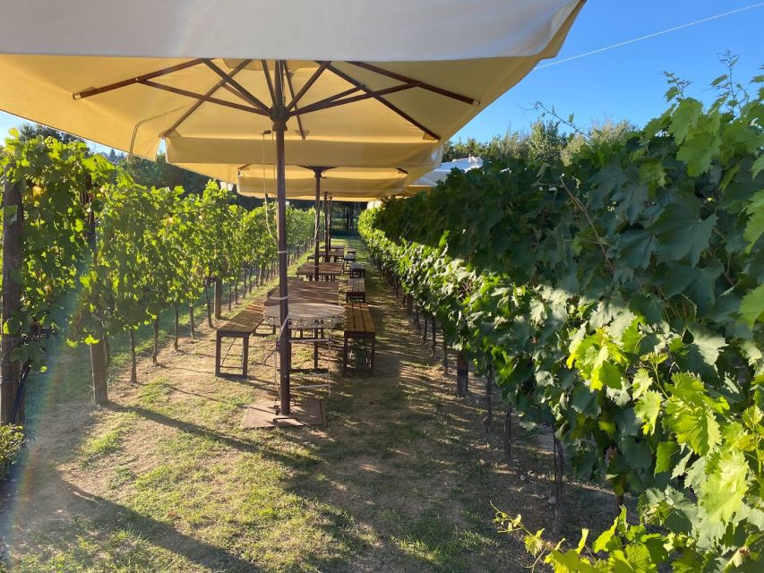 From Rome: Siena and S. Gimignano, Tuscany Wine One Day Tour - Basilica Cateriniana San Domenico: a short stop with strong atmosphere