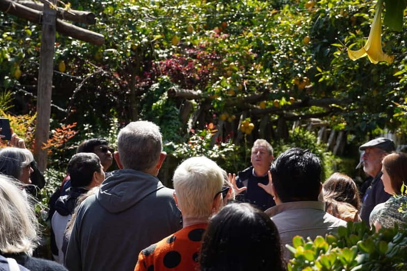 From Rome: Sorrento & Pompeii Day Trip with Guide or Ticket - Quick hits you should know