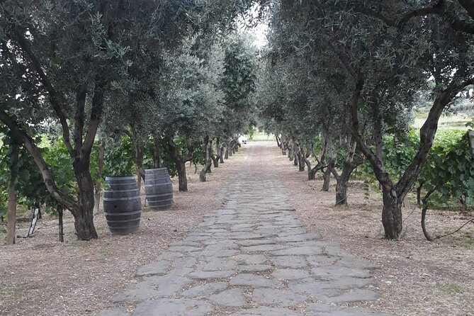 From Rome to the Castles: Private 3-Hour Wine Tasting Tour - The people factor: drivers and sommeliers who set the tone