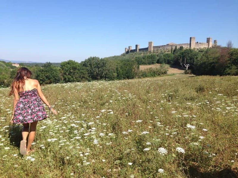 From Rome: Tuscany & Siena with Wine Tasting and Lunch - Who This Day Trip Suits Best (and Who Might Struggle)