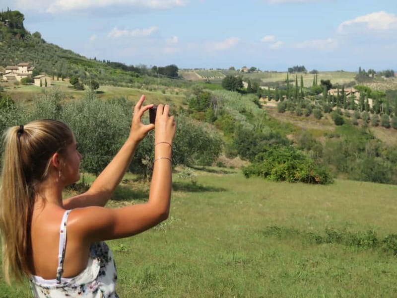 From Rome: Tuscany & Siena with Wine Tasting and Lunch - Chianti Winery Lunch: Wine Tasting and Olive Oil That Feels Like a Day, Not a Lecture