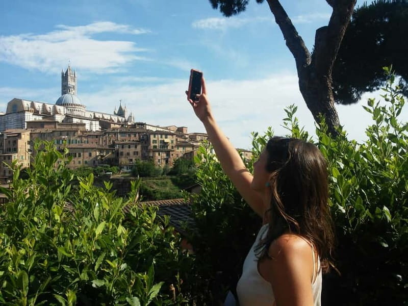 From Rome: Tuscany & Siena with Wine Tasting and Lunch - Logistics That Actually Affect Your Comfort