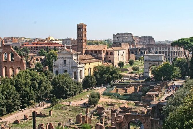 Guided Tour of the Colosseum with Access to the Arena, Roman Forum and Palatine Hill - Who this tour suits best (and who should consider alternatives)