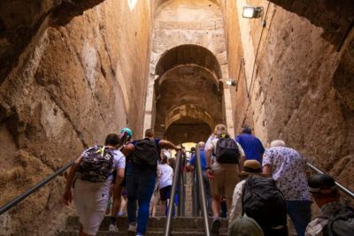 Guided Tour to the Palatine Coliseum and Roman Forum - Meeting point at Gladiator Tours, next to MyBar