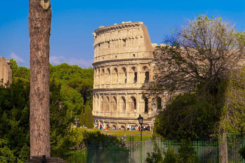 Guided Tour to the Palatine Coliseum and Roman Forum - Palatine Hill stop: the imperial connection you can feel in the stones