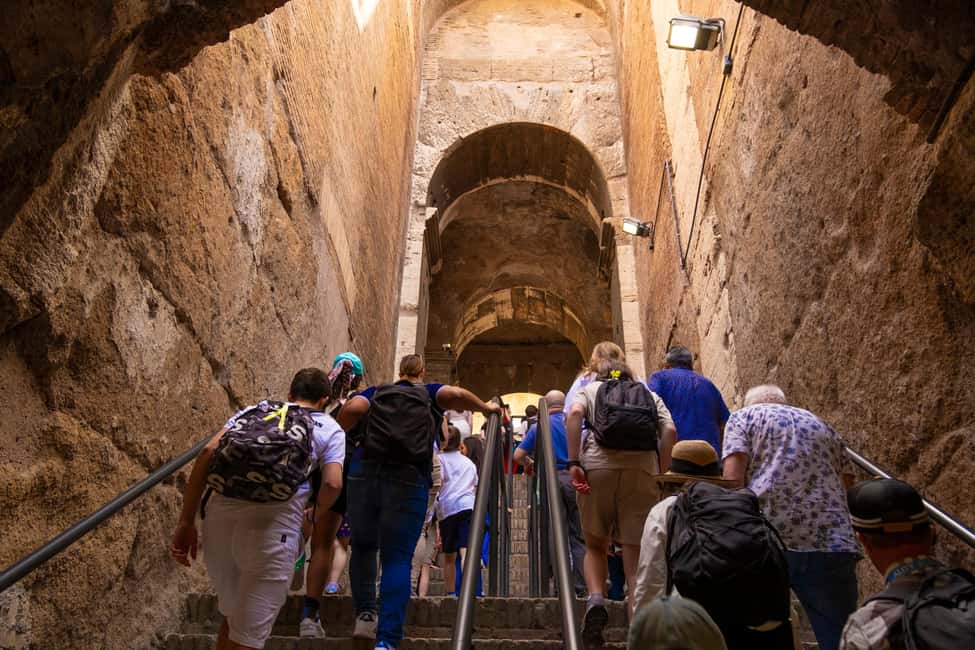 Guided Tour to the Palatine Coliseum and Roman Forum - Meeting point at Gladiator Tours, next to MyBar