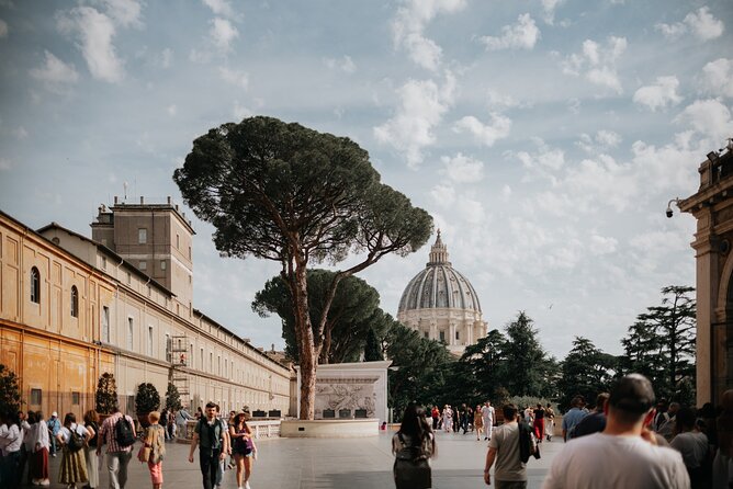 Guided Vatican Museums & Sistine Chapel Skip the Line Tour - Vatican Museums Stops: Apollo Belvedere and Laocoön’s Drama