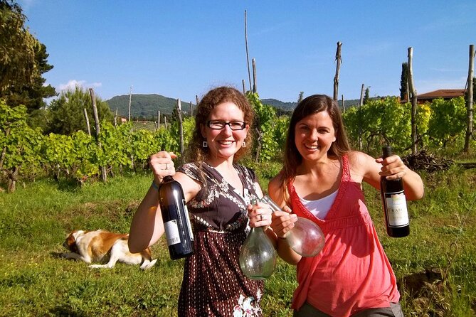 Guided Wine Tasting Experience in a Roman Vineyard - Your 2-hour flow: from meeting point to vineyard tasting
