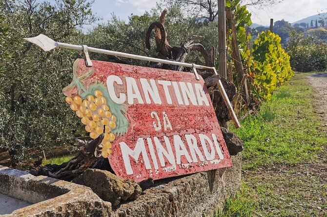Half-Day Minardi Wine and Food Tour in Frascati - Timing and Getting Back: 10:30 Start, Train Return to Rome