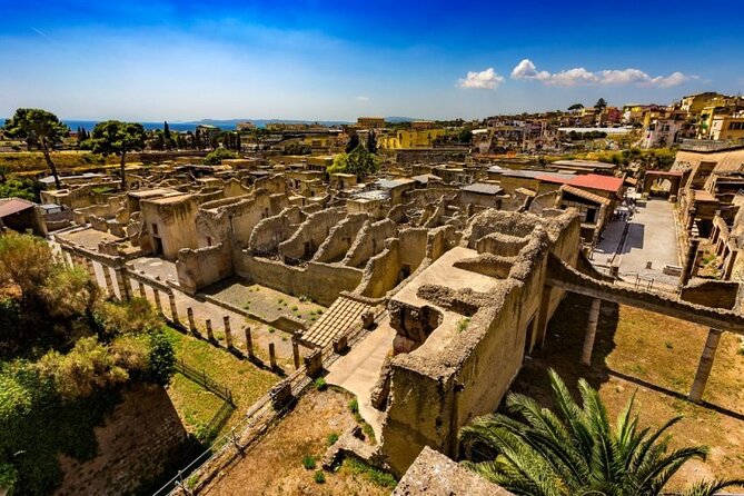 Herculaneum ruins and Naples Center Full Day Private Tour From Rome - Key things to know before you go