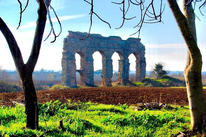 Hidden Rome - Private Tour with Driver - Colle del Gianicolo: where the skyline clicks into place