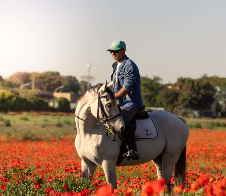 Horse Sanctuary in Rome - Key highlights before you go