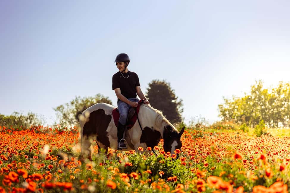 Horse Sanctuary in Rome - The Ranch Start: Grooming, Feeding, and Volunteer-Style Care