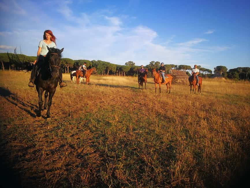 Horse Sanctuary in Rome - Before You Ride: Short Lesson That Actually Prepares You