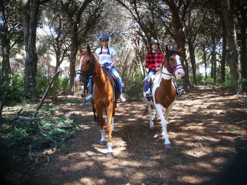 Horse Sanctuary in Rome - The Horseback Ride: Pinewood Escape With Room for Calm