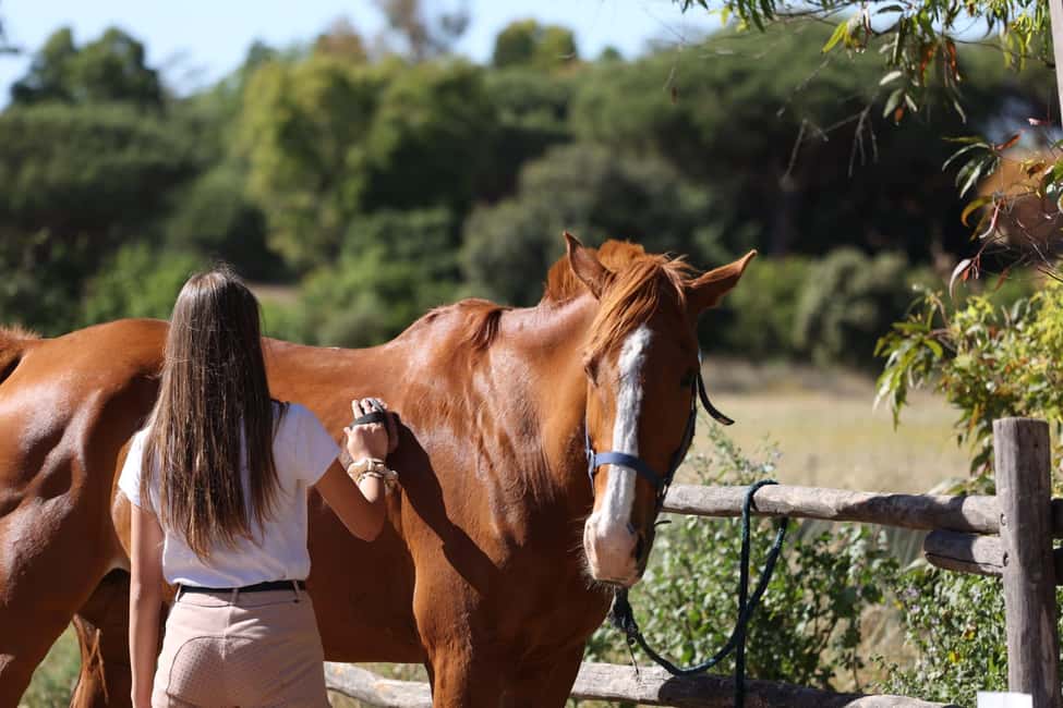 Horse Sanctuary in Rome - Ancient Ostia Area Ruins: History on Horseback (Without the Museum Stuff)