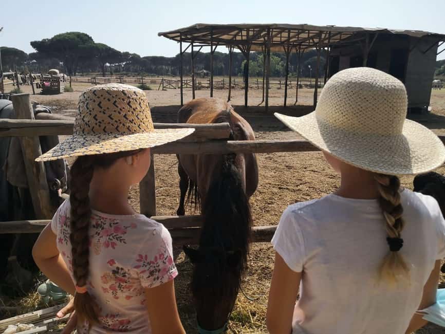 Horse Sanctuary in Rome - Included Perks That Make This Feel Like Value