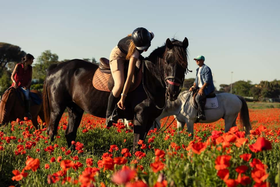 Horse Sanctuary in Rome - Getting There: Coffee Shop Meet-Up and Easy Shuttle