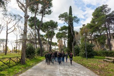 Independent Sorrento & Pompeii Day Trip from Rome - Amalfi Coast Views by Coach: Scenic Drive Without the Hassle