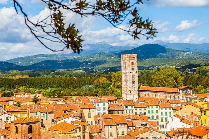 Lucca and Pisa Day Tour from Rome - Pisa in the afternoon: Piazza dei Miracoli at a walkable pace