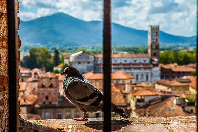 Lucca and Pisa Day Tour from Rome - Price and value: is $662.26 per person fair?