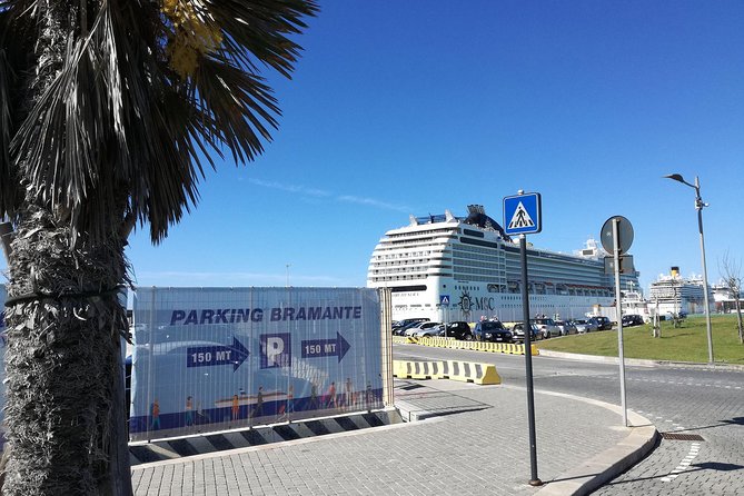 Luxury Private Transfer Rome from /to Civitavecchia Port - Vehicle choice and luggage limits: sedan vs minivan