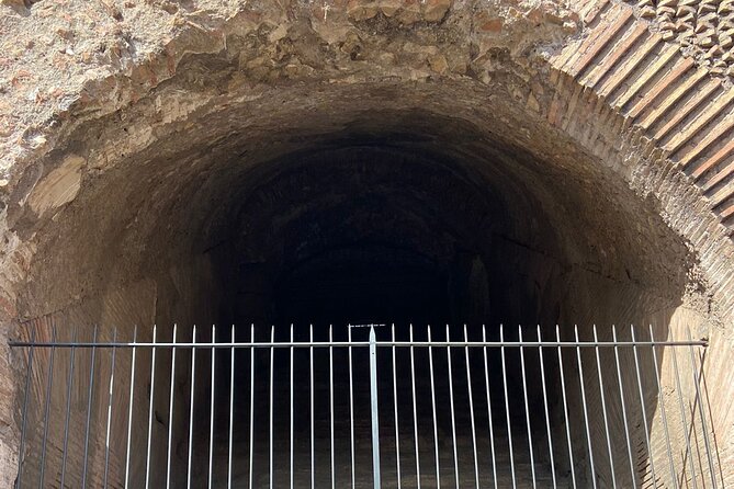 Magnificent tour of Gladiator Arena, Colosseum and Imperial Forum - Palatine Hill: Rome’s VIP hill and big views