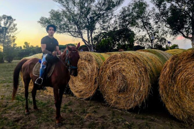 Middle day out of Rome on Horseback with meals included - Best fit: who will love this, and who should think twice