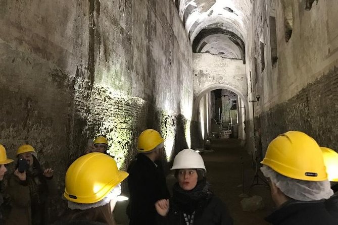 Nero's Golden House restoration site tour - Price and value: paying for access, not just information